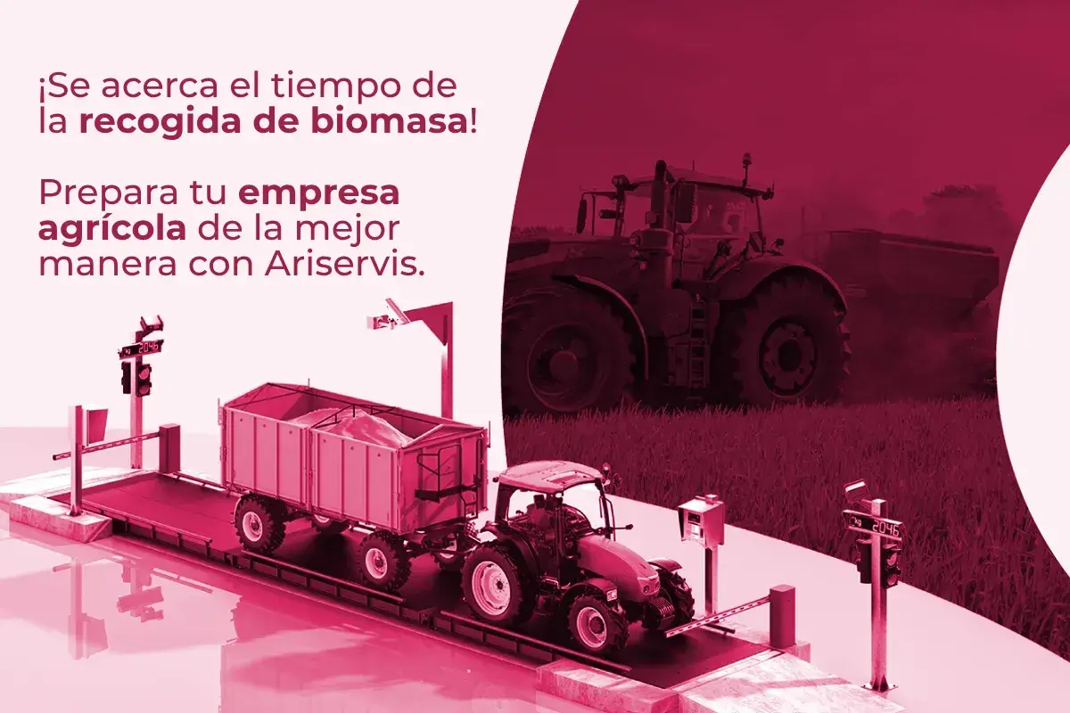 Básculas para la industria agrícola que optimizan la producción – Ariservis Básculas para la industria agrícola que optimizan la producción - Ariservis
