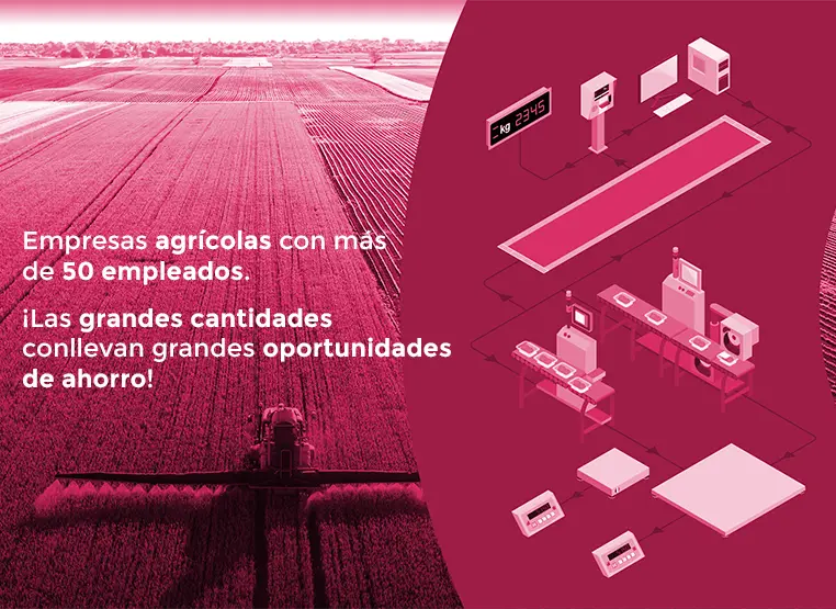 Empresas agrícolas con más de 50 empleados. Las grandes cantidades conllevan grandes oportunidades de ahorro.