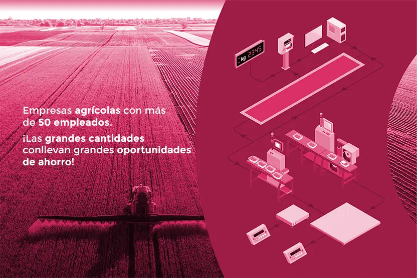 Empresas agrícolas con más de 50 empleados. Las grandes cantidades conllevan grandes oportunidades de ahorro.