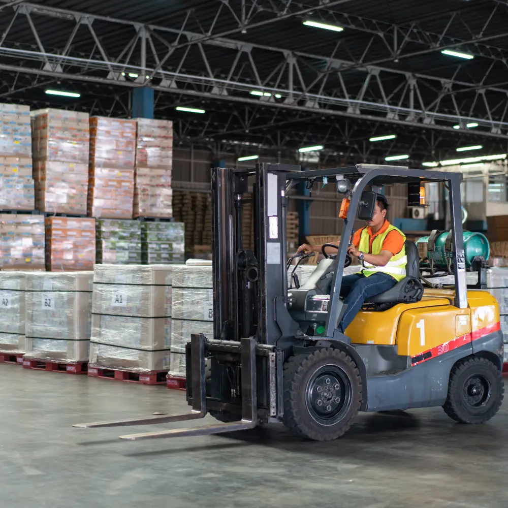 logistica